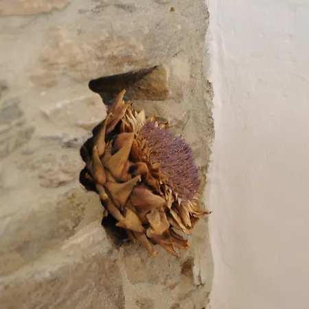 Apano Vrysi