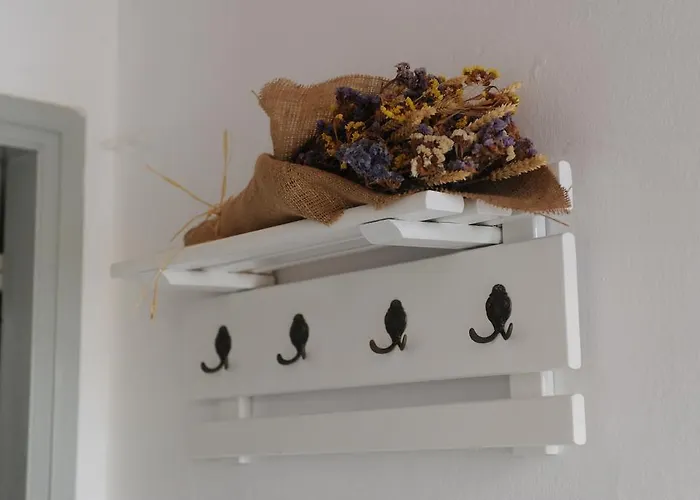 Apano Vrysi * Τήνος